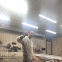 --,   , 39 ,  