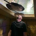  ,   , 26 ,   ,   , c , 