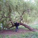  ,   , 58 ,   ,   , c , 