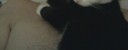  ,   , 33 ,   ,   , c , 