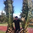  ,   Kusa, 34 ,   ,   , c 