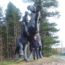 ���������� �����-��������, ���� ������� ������, 39 ���, ������������ ��� ������, ����� � ���������, c�������� ���������