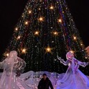 ���������� �����������, ���� ������� �������, 45 ���, ������������ ��� ������, ����� � ���������