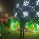  ,   Dima, 37 ,     , c 