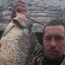 ���������� ������ ��������, ���� ������� ����, 38 ���, ������������ ��� ������, ���������