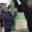 ���������� �����, ���� ������� ������, 43 ����, ������������ ��� ����� � ���������, c�������� ���������