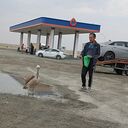 ���������� ������-����, ���� ������� ��������, 42 ����, ������������ ��� ������, ����� � ���������, c�������� ���������