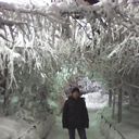  -,   , 43 ,   
