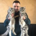 ���������� ������������, ���� ������� ������, 38 ���, ������������ ��� ������, ����� � ���������, c�������� ���������, ���������