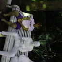  ,   , 51 ,   ,   