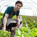 ���������� �����, ���� ������� ������, 35 ���, ������������ ��� ������, ����� � ���������, c�������� ���������