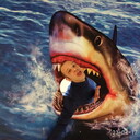 ���������� �����, ���� ������� ���������, 44 ����, ������������ ��� ������, ����� � ���������