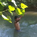 ���������� �������, ���� ������� Sardor, 34 ����, ������������ ��� ������, ����� � ���������, c�������� ���������, ���������