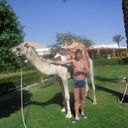  -,   , 38 ,   ,   , c 