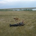 ���������� ����, ���� ������� ����, 58 ���, ������������ ��� ������, ����� � ���������, c�������� ���������