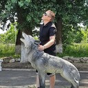 ���������� ����������, ���� ������� ���������, 40 ���, ������������ ��� ������, ����� � ���������, c�������� ���������