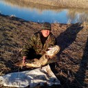 ���������� ������, ���� ������� ����, 41 ���, ������������ ��� ������, ����� � ���������, c�������� ���������