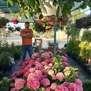 ���������� ���������, ���� ������� ����, 36 ���, ������������ ��� ������, ����� � ���������