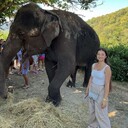 ���������� ������, ���� ������� ���������, 28 ���, ������������ ��� ����� � ���������, c�������� ���������, ���������