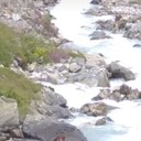 ���������� ������, ���� ������� ������, 44 ����, ������������ ��� ����� � ���������, c�������� ���������