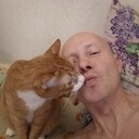 ���������� ������������, ���� ������� ���������, 45 ���, ������������ ��� ������, ����� � ���������, c�������� ���������