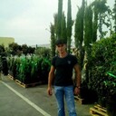  ,   Alexander, 38 ,   ,   