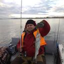 ���������� �����-���������, ���� ������� ����, 43 ����, ������������ ��� ������, ����� � ���������, c�������� ���������, ���������