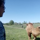 ���������� ������, ���� ������� Sem, 51 ���, ������������ ��� ������, ����� � ���������, c�������� ���������, ���������