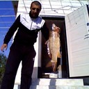 ���������� ���������, ���� ������� ����, 40 ���, ������������ ��� ������, ����� � ���������, c�������� ���������