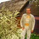  ,   , 67 ,  