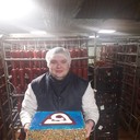 ���������� ����, ���� ������� ������, 34 ����, ������������ ��� ������, ����� � ���������, c�������� ���������