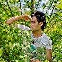 ���������� ������, ���� ������� �����, 43 ����, ������������ ��� ������, ����� � ���������