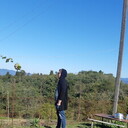 ���������� ������, ���� ������� ����, 35 ���, ������������ ��� ������, ����� � ���������, c�������� ���������