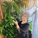 ���������� ����������, ���� ������� �����, 66 ���, ������������ ��� ������, ����� � ���������, c�������� ���������, ���������