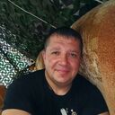 ���������� �����, ���� ������� ��������, 43 ����, ������������ ��� c�������� ���������