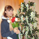 ���������� ������, ���� ������� ��������, 28 ���, ������������ ��� ������, ����� � ���������, c�������� ���������