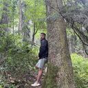 ���������� �����������, ���� ������� �����, 38 ���, ������������ ��� ������, ����� � ���������