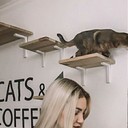  ,   , 30 ,   ,   , c 