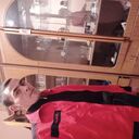 ���������� ������, ���� ������� ������, 40 ���, ������������ ��� ������, ����� � ���������