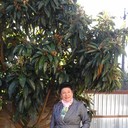  ,   , 68 ,     , c 