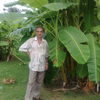  ,   , 62 ,   ,   , c 
