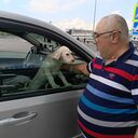 ���������� �������, ���� ������� ������, 55 ���, ������������ ��� ������, ����� � ���������