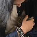 ���������� ����, ���� ����� �������, 20 ���, ������������ ��� ������, ����� � ���������