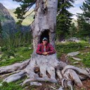 ���������� ����������, ���� ������� ����, 43 ����, ������������ ��� ������, ����� � ���������, c�������� ���������, ���������