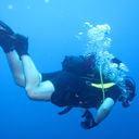 ���������� ������, ���� ������� Ppilate, 62 ����, ������������ ��� ����� � ���������, c�������� ���������