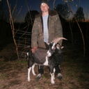 ���������� �����, ���� ������� �����, 39 ���, ������������ ��� ������, ����� � ���������, c�������� ���������, ���������