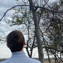 ���������� ����, ���� ����� ����, 21 ���, ������������ ��� ������, ����� � ���������