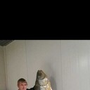  ,   , 43 ,   ,   