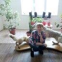  ,   , 51 ,   ,   