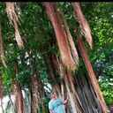  ,   Vladimir, 50 ,   ,   , c , 